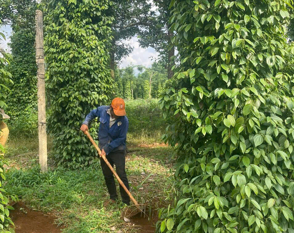 steny-organic-farmer